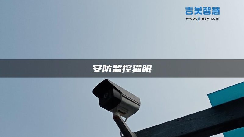网络摄像机代理加盟，成功率的关键因素揭秘